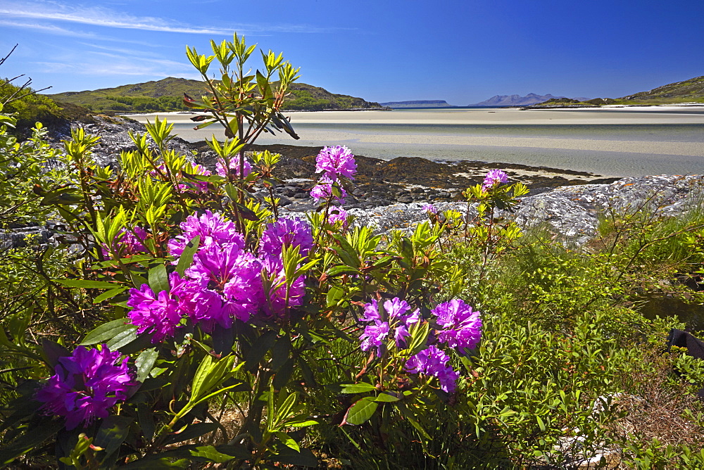 The silver sands of Morar with Eigg and Rhum on the horizon, Highland Region, Scotland, United Kingdom, Europe