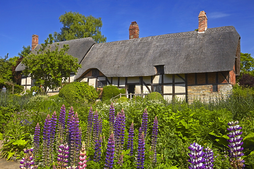 Anne Hathaway's cottage, Shottery, Stratford-upon-Avon, Warwickshire, England, United Kingdom, Europe