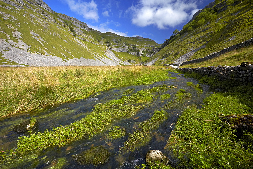 The view looking up Gordale Beck to Gordale Scar, Yorkshire Dales National Park, North Yorkshire, England, United Kingdom, Europe