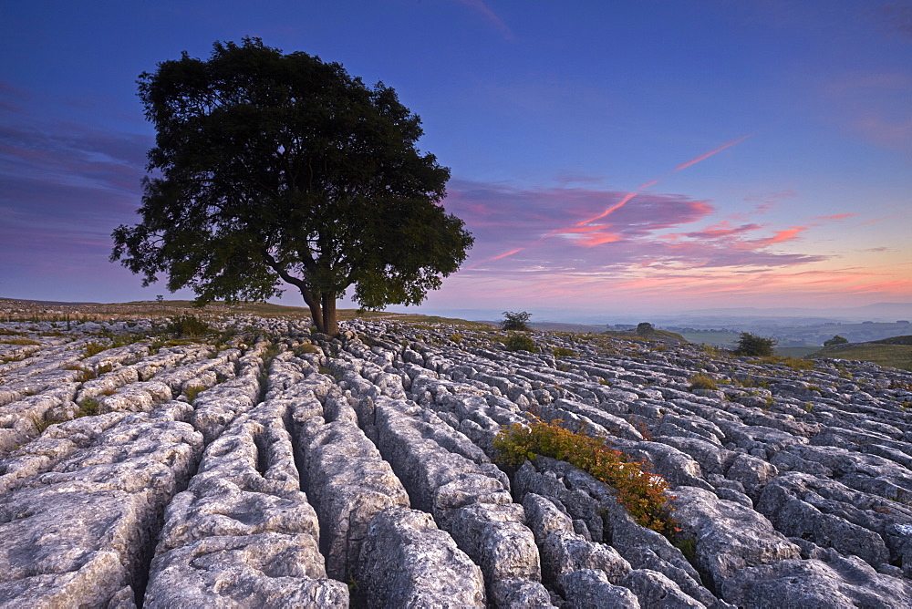 Sunset over the limestone pavement at Malham Lings, near Malham, North Yorkshire, England, United Kingdom, Europe