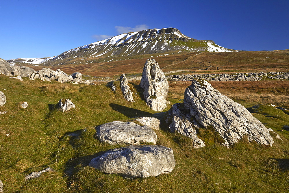 Snow capped Penyghent in the Yorkshire Dales National Park, Ribblesdale, North Yorkshire, England, United Kingdom, Europe