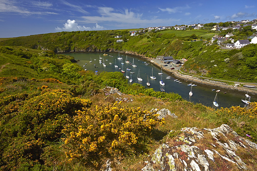 The inlet and harbour at Solva, Pembrokeshire, Wales, United Kingdom, Europe