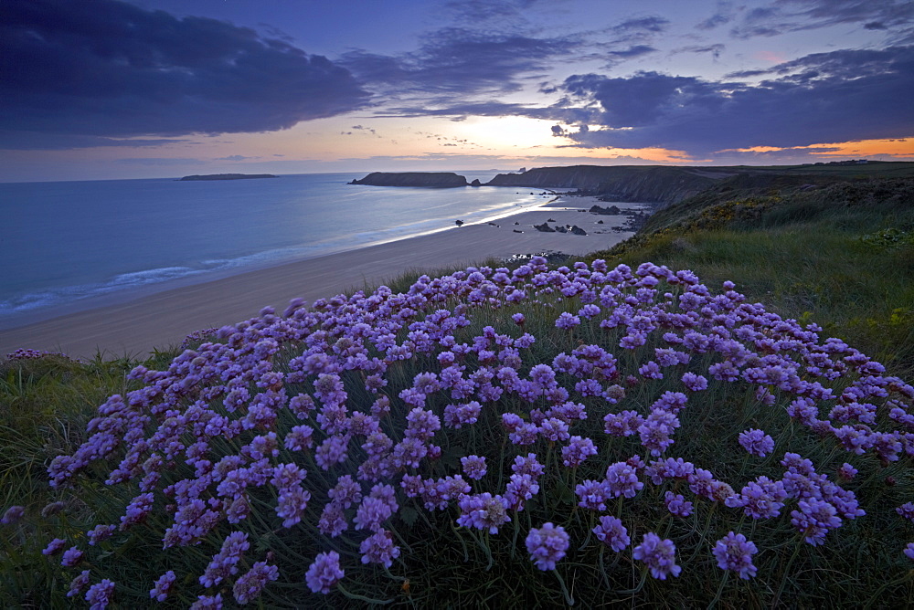 Sunset on the Wales Coast Path above Marloes, Pembrokeshire, Wales, United Kingdom, Europe