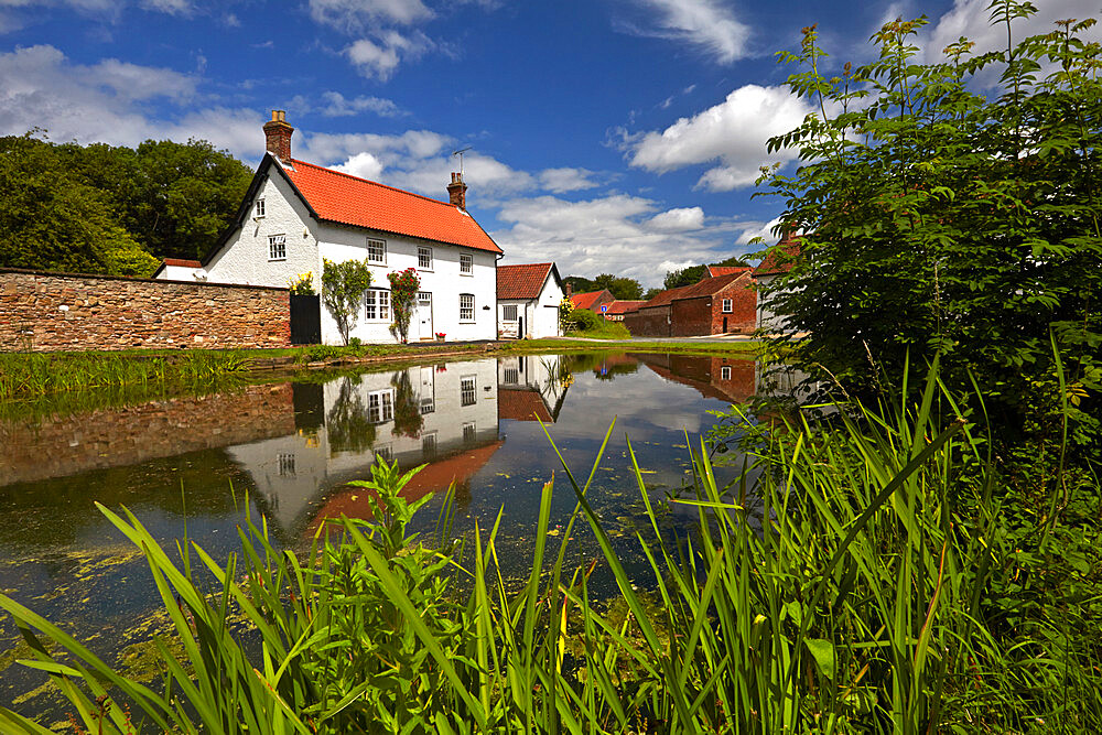 The village pond at Bishop Burton, East Yorkshire, England, United Kingdom, Europe