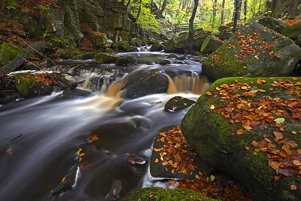 The Burbage Brook flowing through Padley Gorge, Peak District National Park, Derbyshire, England, United Kingdom, Europe