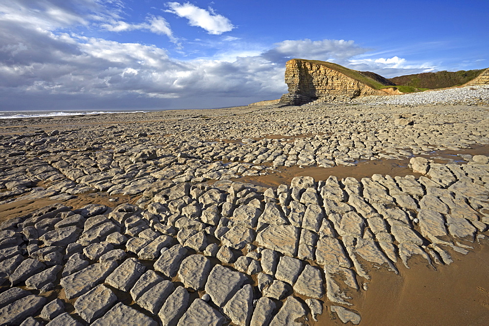 Exposed limestone at low tide at Nash Point on the Glamorgan Heritage Coast, Glamorgan, Wales, United Kingdom, Europe