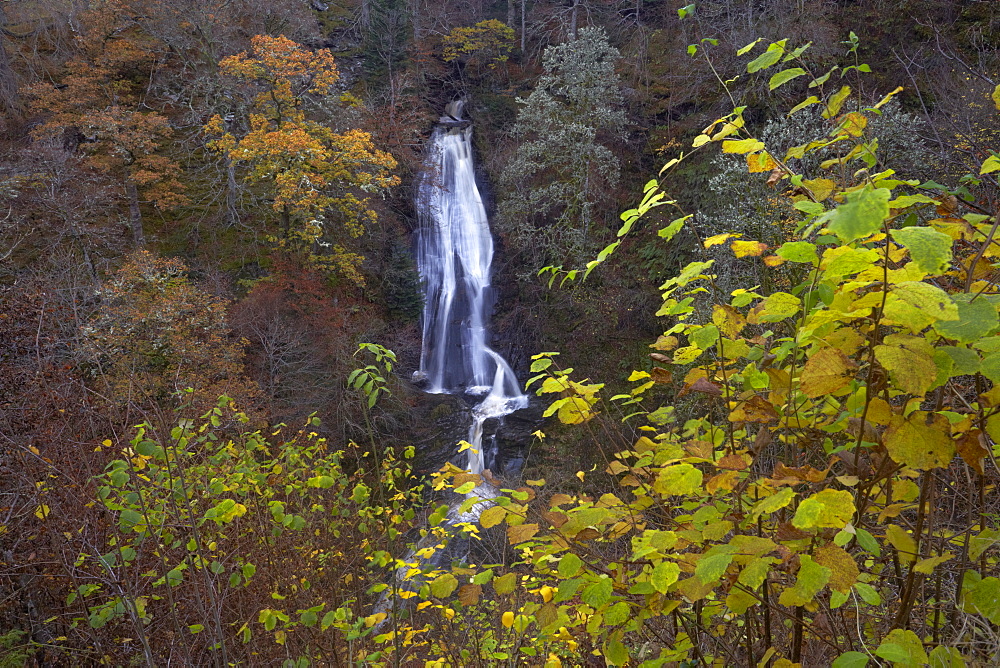 The Falls of Acharn near Aberfeldy in autumn, Perthshire, Scotland, United Kingdom, Europe