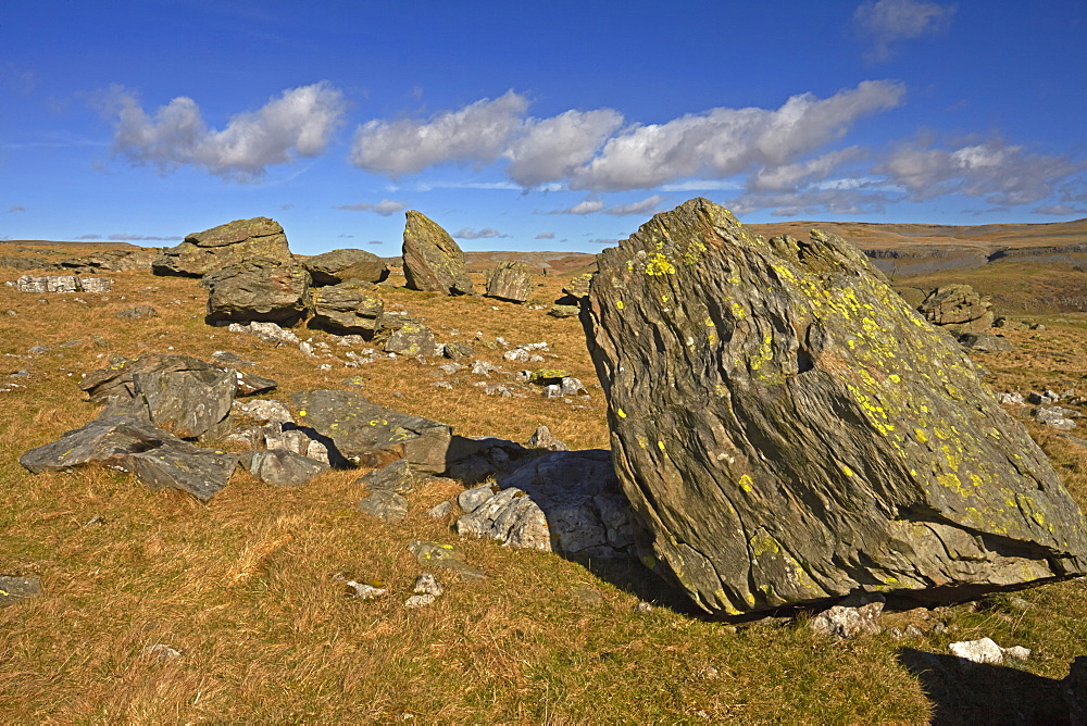 Norber erratic boulders, the result of glacial erosion, found above Crummack Dale, near Austwick, North Yorkshire, England, United Kingdom, Europe