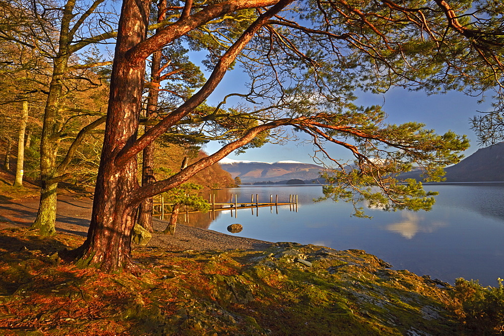 Low Brandelhow landing stage on Derwentwater in the Lake District National Park, UNESCO World Heritage Site, Cumbria, England, United Kingdom, Europe