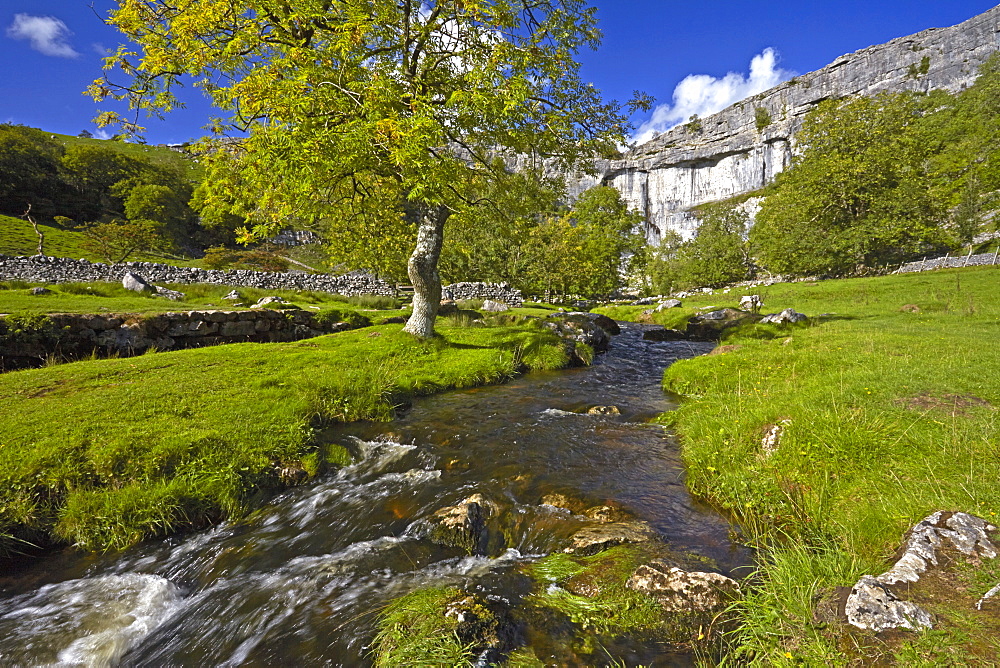 A view of Malham Cove in Malhamdale, Yorkshire Dales National Park, North Yorkshire, England, United Kingdom, Europe