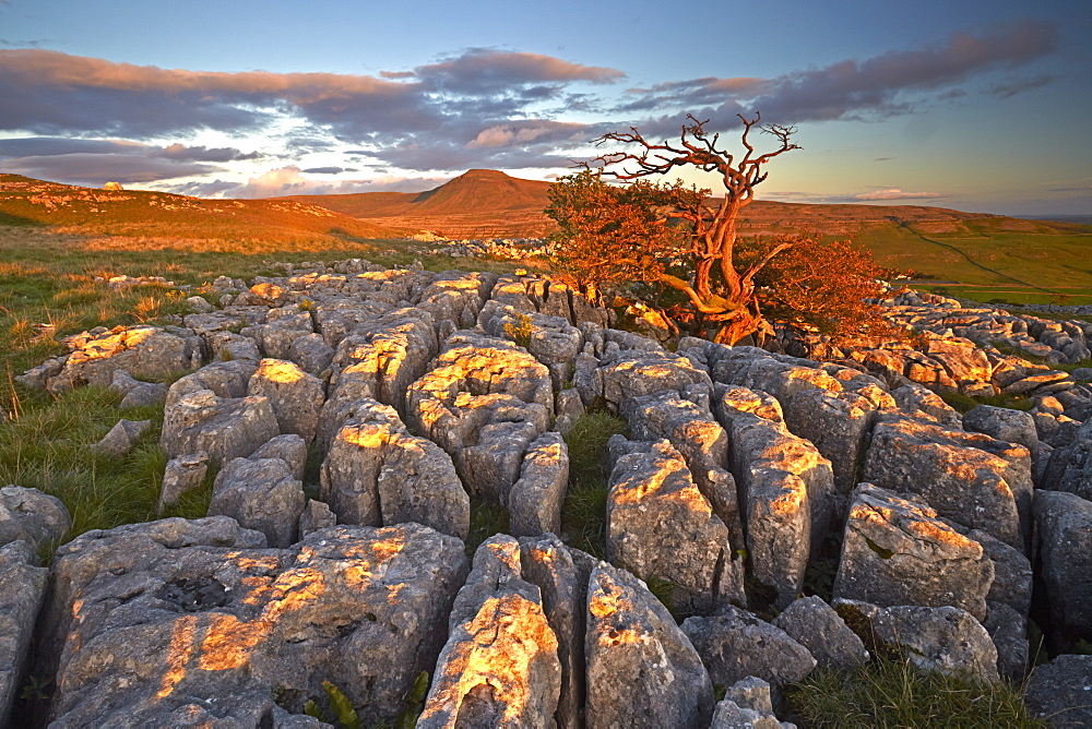 Ingleborough seen from the limestone pavement on Twistleton Scar, North Yorkshire, England, United Kingdom, Europe