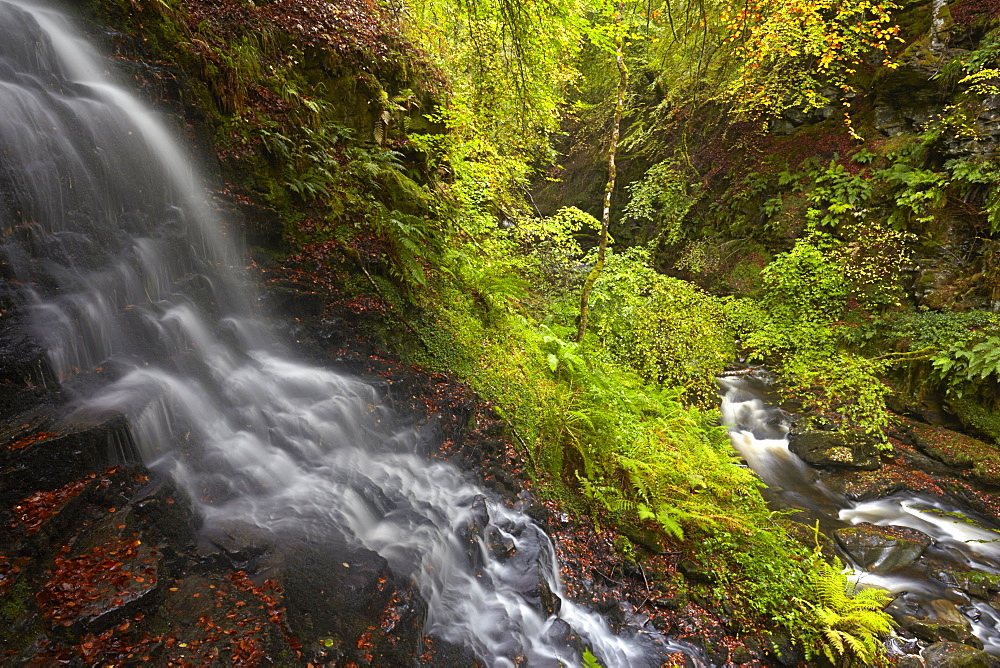 A stream cascading into the Moness Burn which flows through the Birks of Aberfeldy, Perthshire, Scotland, United Kingdom, Europe