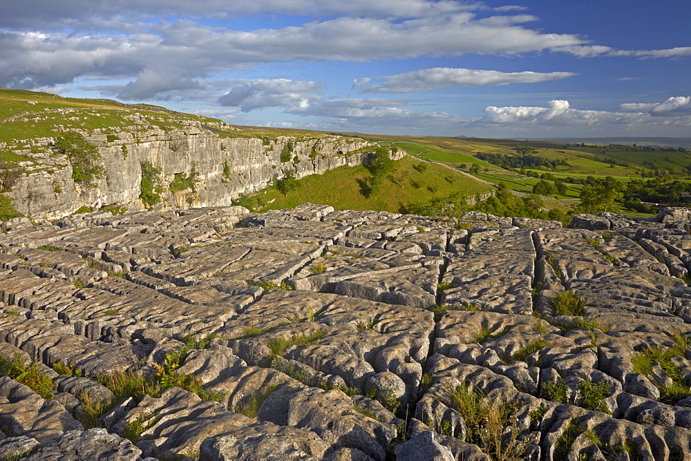 The limestone pavement on the top of Malham Cove, North Yorkshire, England, United Kingdom, Europe