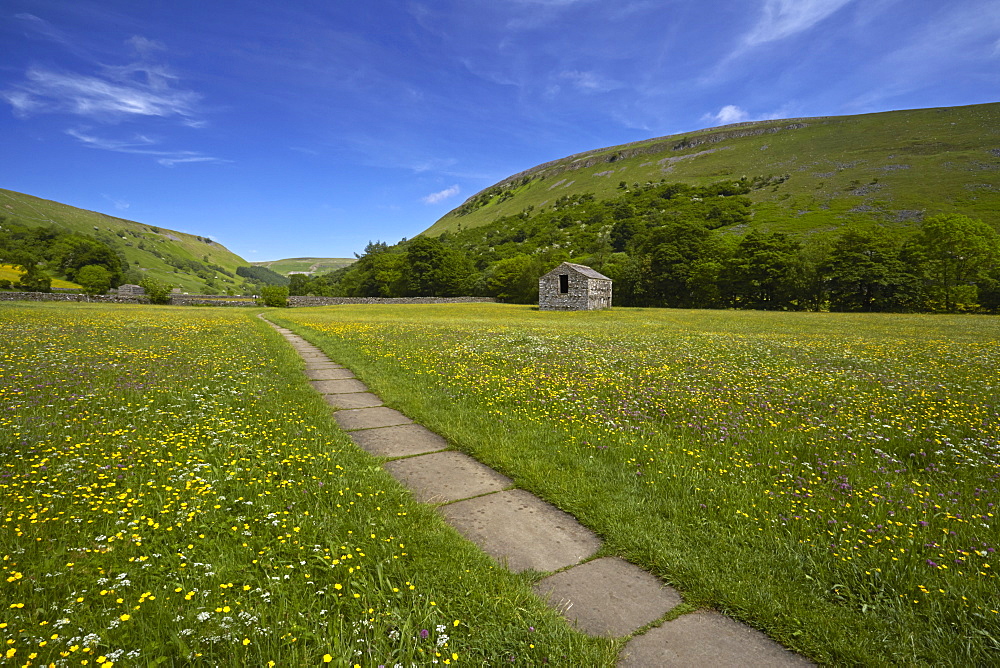 Path leading through traditional hay meadows, Muker, Swaledale, Yorkshire Dales, North Yorkshire, England, United Kingdom, Europe