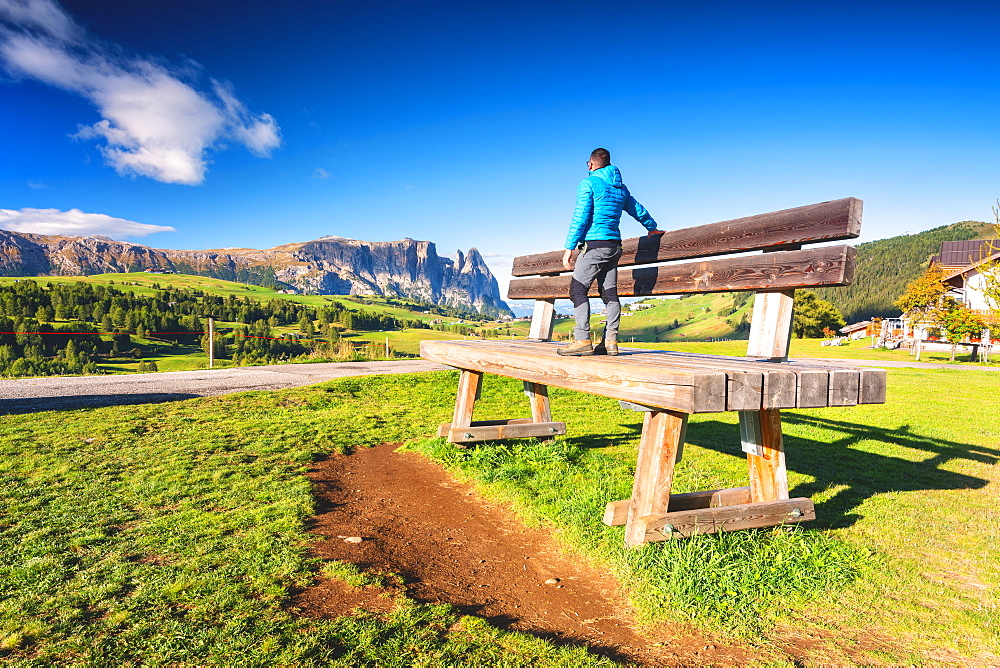 The characteristic Alpe di Siusi bench in Bolzano Province, Trentino-Alto Adige, Italy, Europe