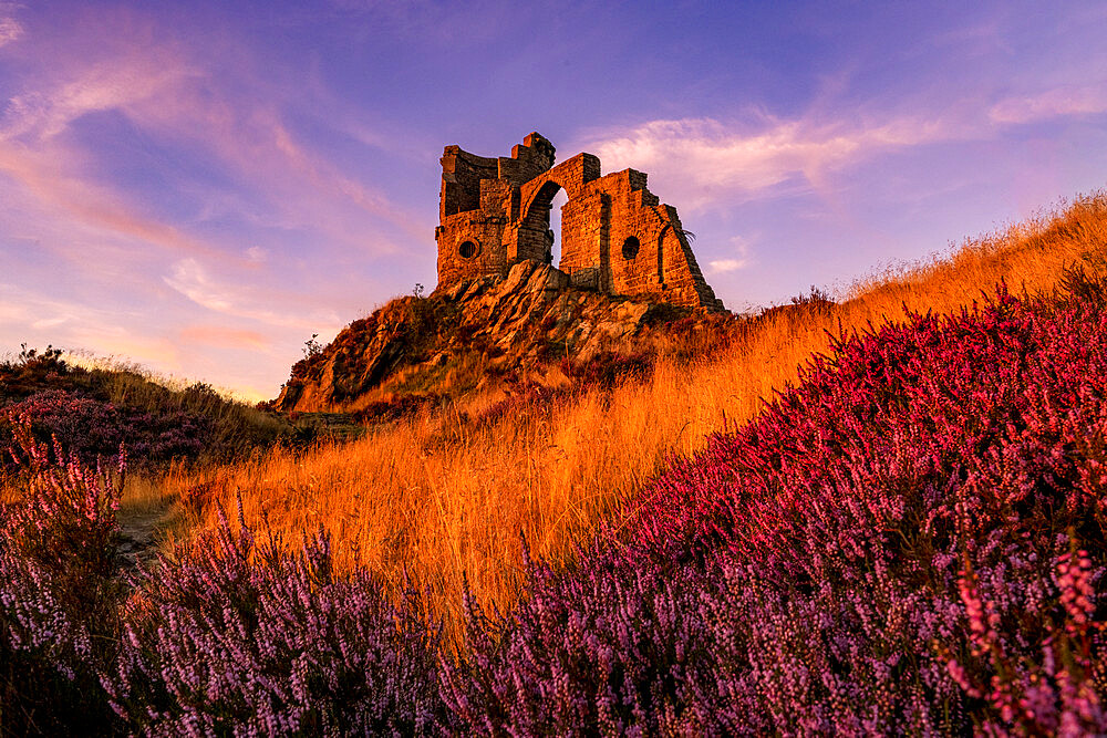 The Folly at Mow Cop with heather, Mow Cop, Cheshire, England, United Kingdom, Europe