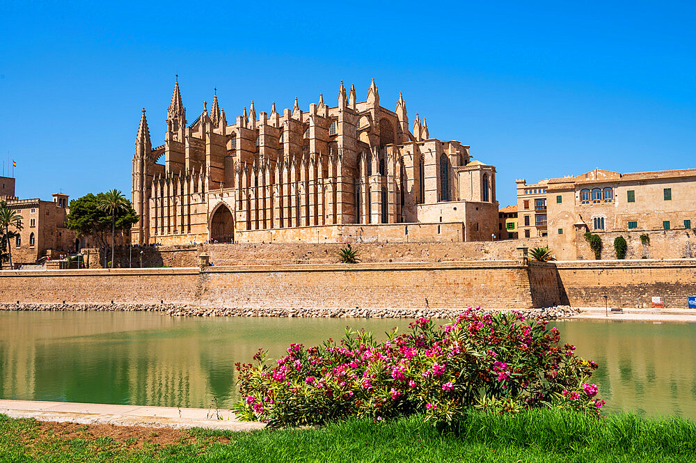 Palma Cathedral (La Seu), Palma de Mallorca, Mallorca (Majorca), Balearic Islands, Spain, Mediterranean, Europe