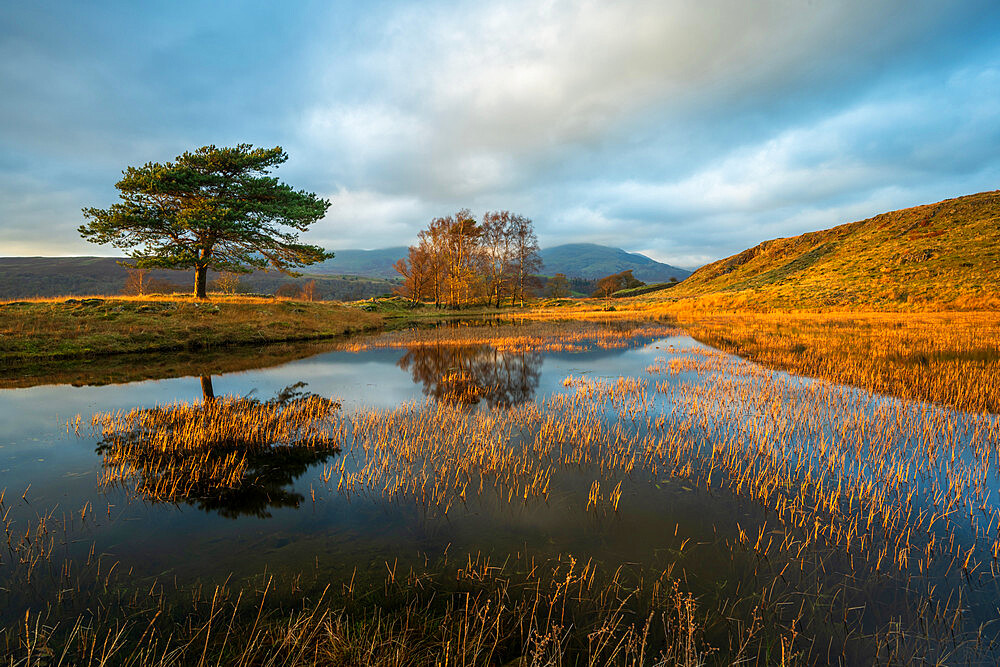 Kelly Hall Tarn and the Coniston Old Man, Lake District National Park, Cumbria, England