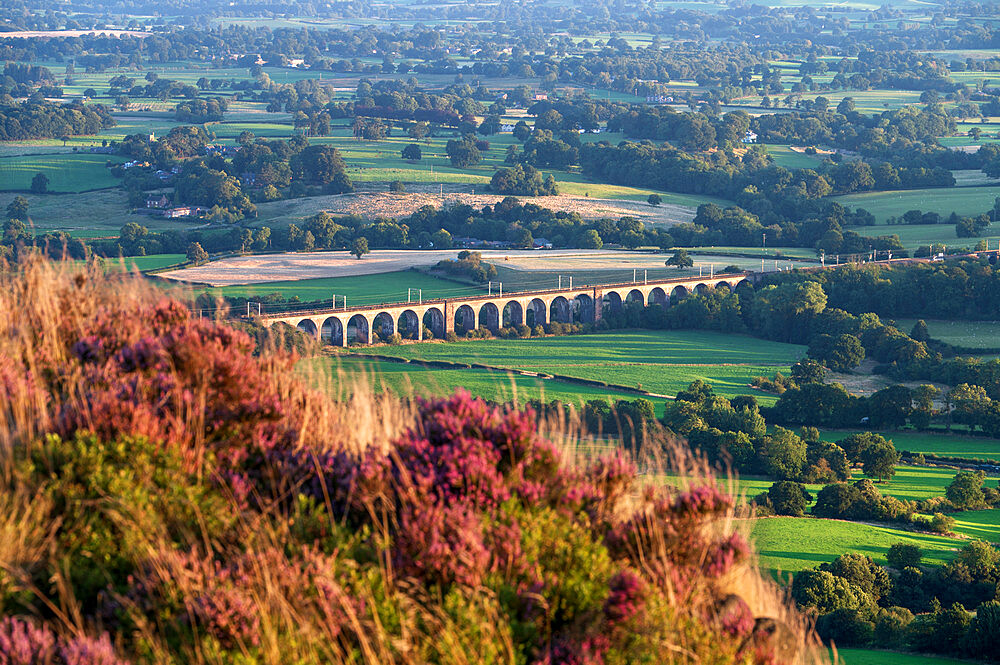 Summer view of railway over the viaduct bridge on the Cheshire plain near Bosley Congleton Cheshire