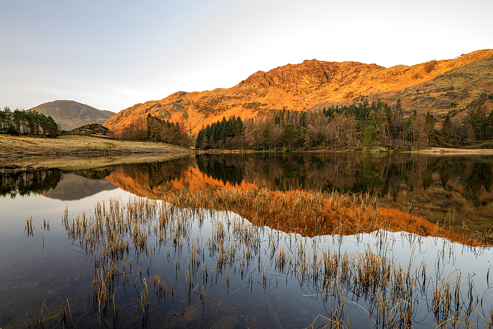 Sunrise light over Blea Tarn with mirror conditions in spring, Lake District National Park Cumbria