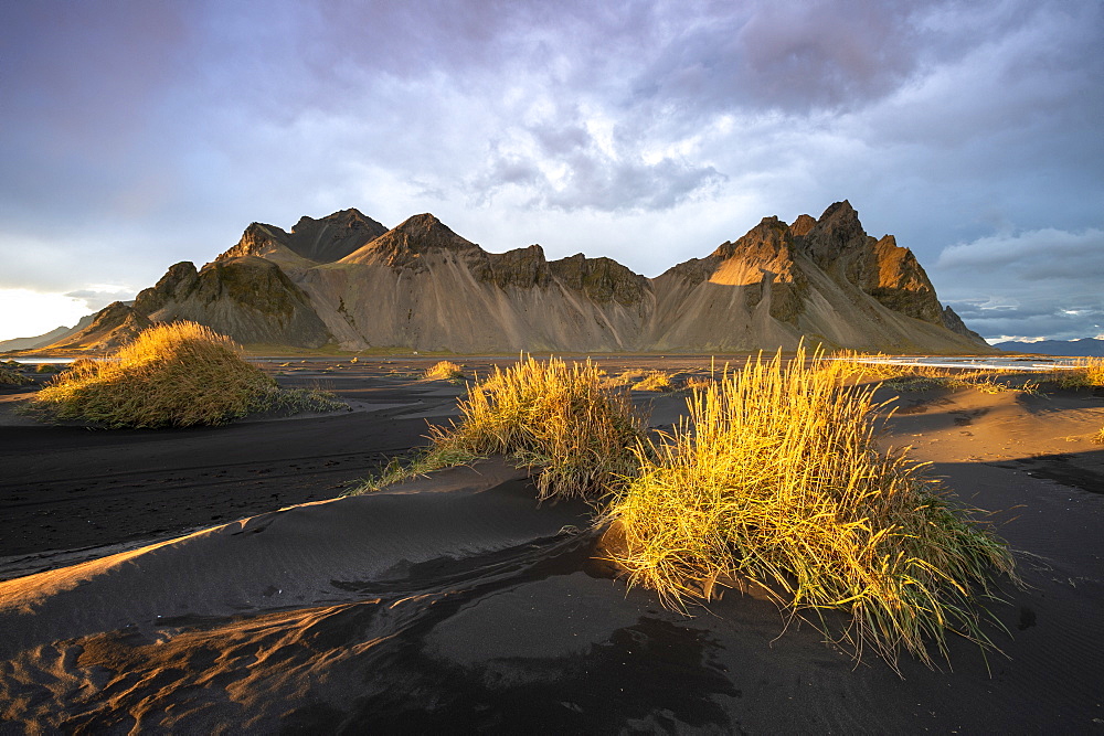 The view of the mountains of Vestrahorn from black volcanic sand beach with grasses at sunset, Stokksnes, South Iceland, Iceland, Polar Regions