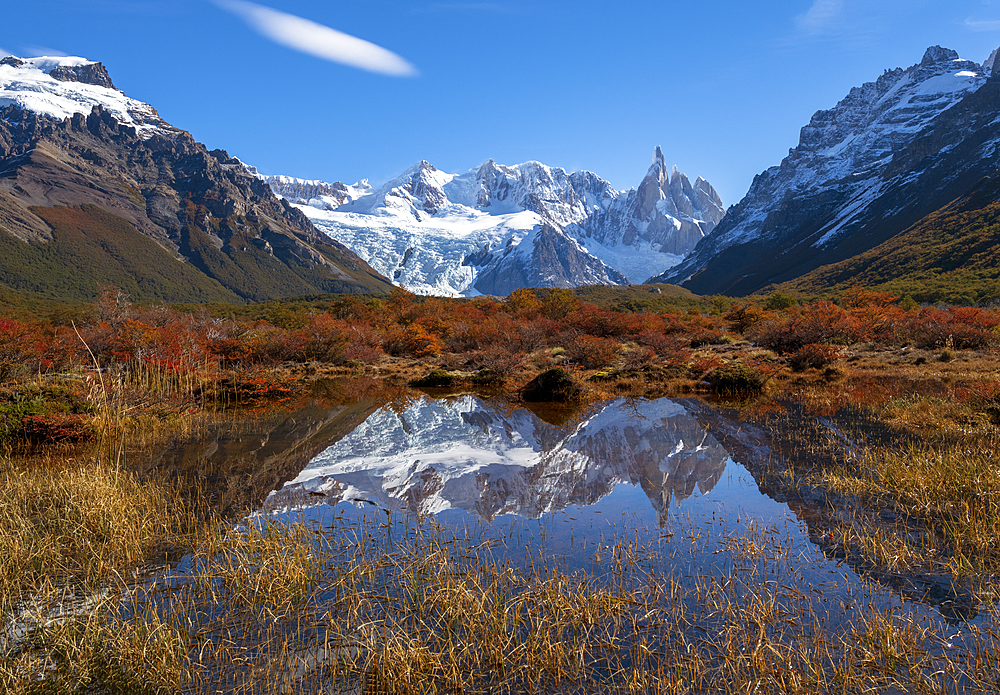 Autumnal colours in Los Glaciares National Park with reflections of Cerro Torro, UNESCO World Heritage Site, Santa Cruz Province, Argentina, South America