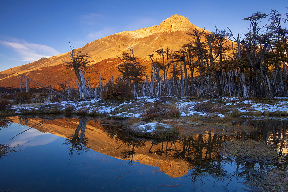 An autumn scene in Los Glaciares National Park, UNESCO World Heritage Site, Patagonia, Argentina, South America