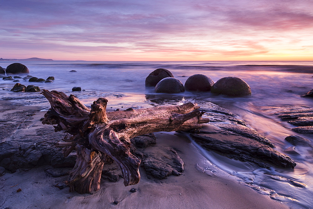 The Moeraki Boulders at sunrise, Moeraki Beach, Otago, South Island, New Zealand, Pacific