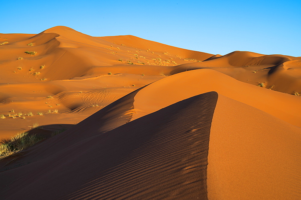 Sand dunes and blue sky, Sahara Desert, Morocco, North Africa, Africa