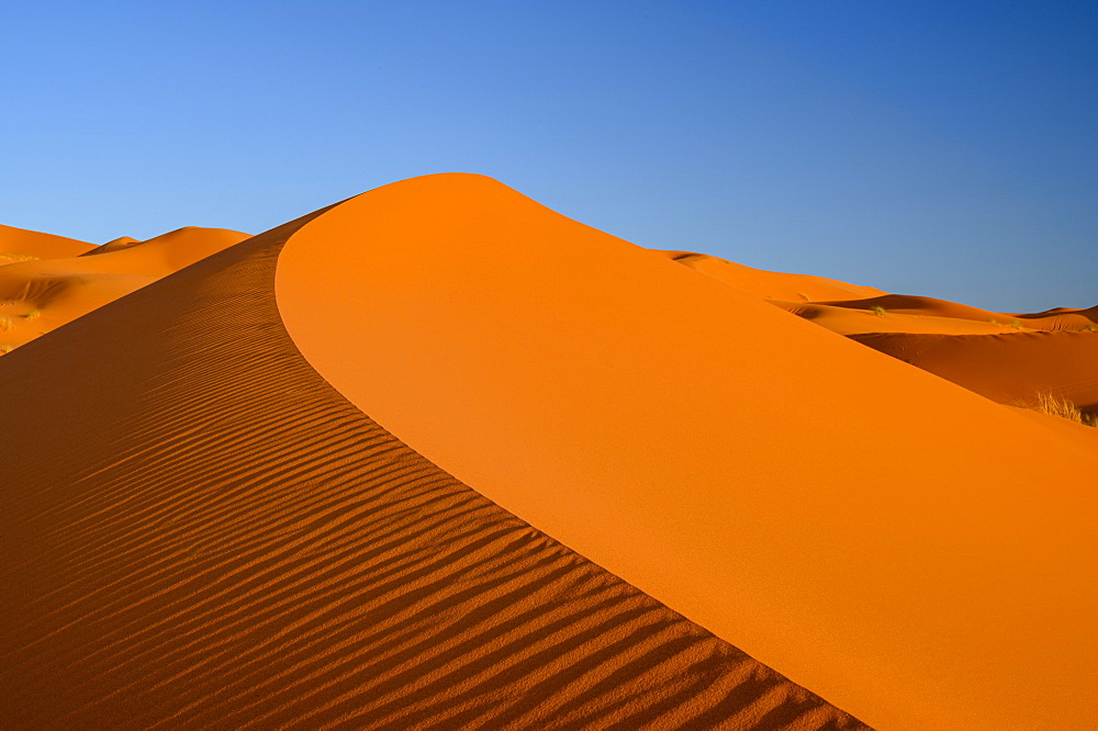 Sand dunes with blue sky, Sahara Desert, Morocco, North Africa, Africa