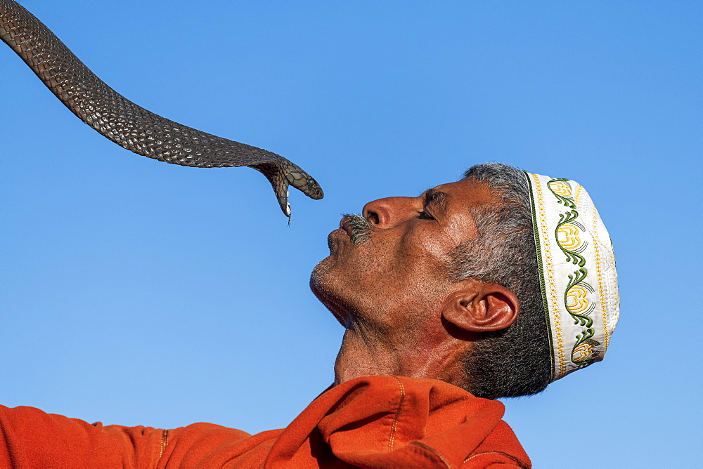 Snake charmer, Djemaa el Fna, Marrakech, Morocco, North Africa, Africa