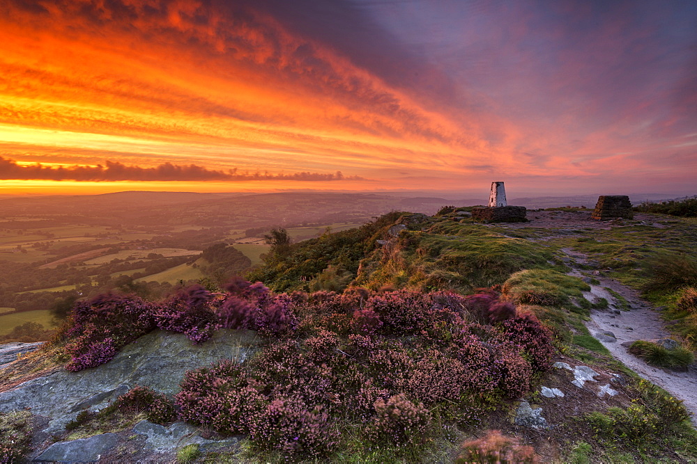 A dramatic sunrise at Cloudside with heather, Near Congleton, Cheshire, England, United Kingdom, Europe