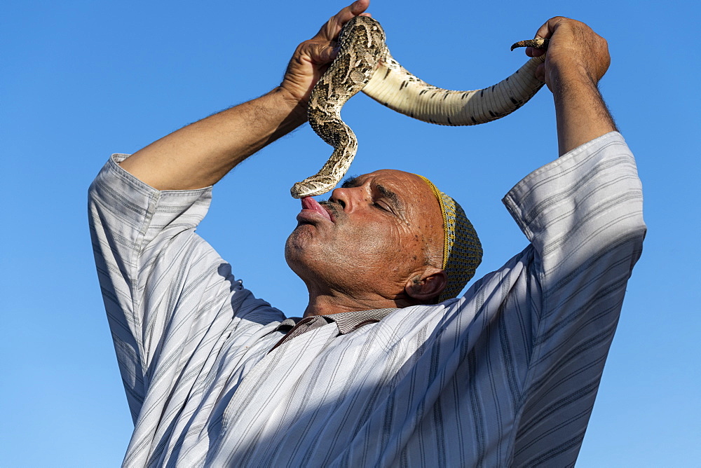 Snake charmer kissing snake, Djemaa el Fna, Marrakech, Morocco, North Africa, Africa