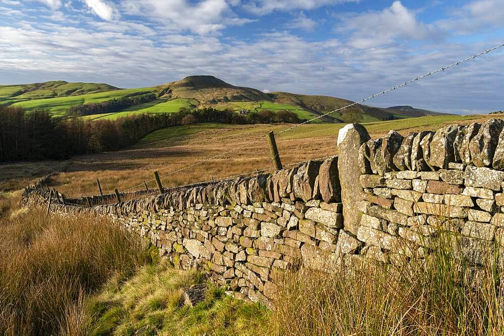 Old stone wall with the Peak of Shutlingsloe, near Wildboarclough, Peak District National Park, Cheshire, England, United Kingdom, Europe