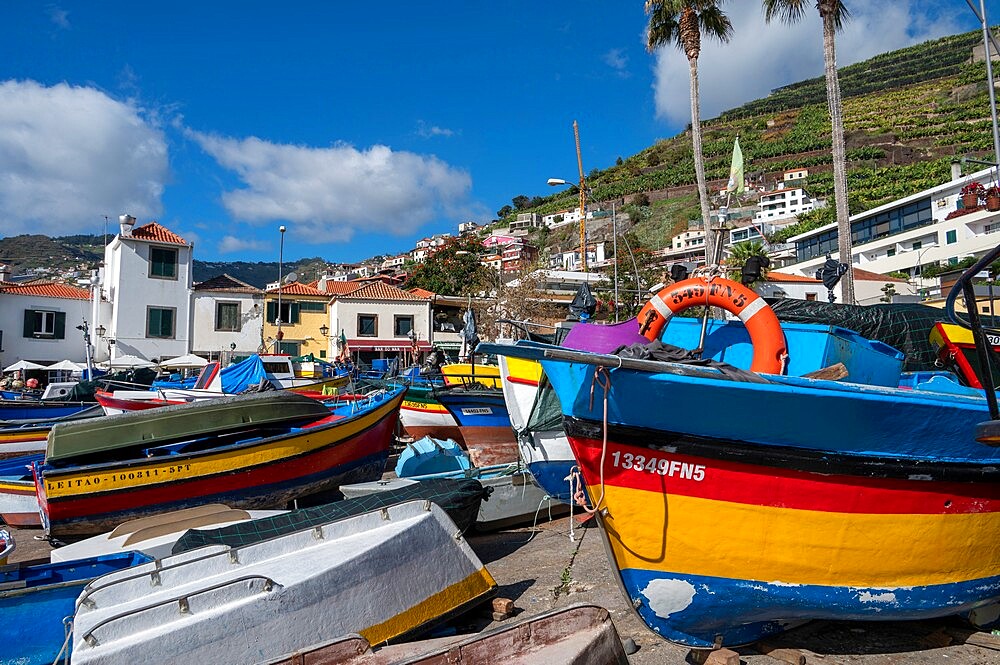 Colourful boats, Camara de Lobos, Funchal, Madeira, Portugal, Atlantic, Europe