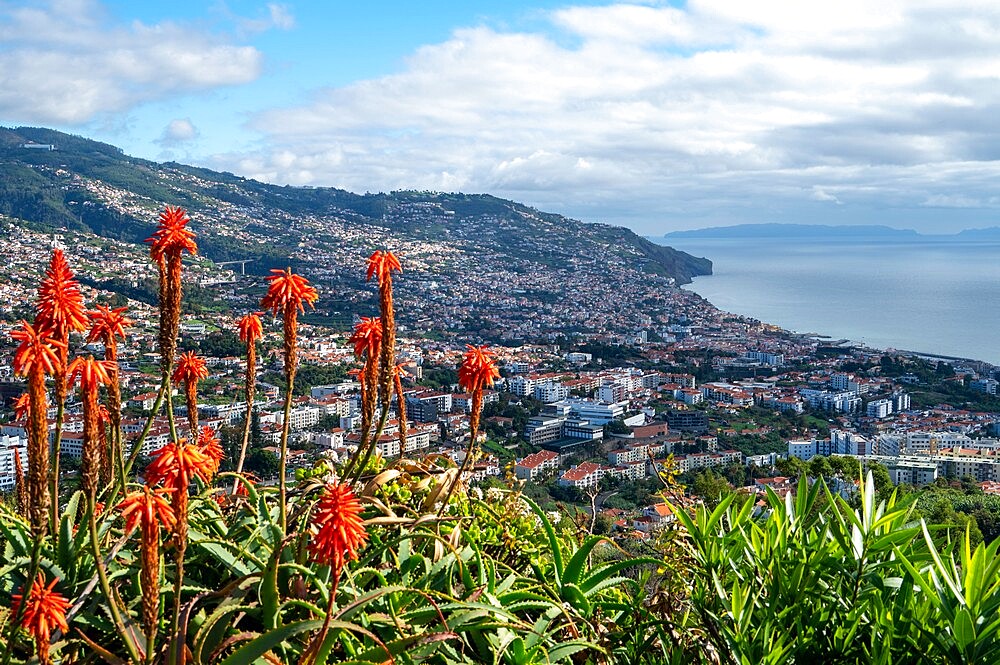 Elevated view of the city, Funchal, Madeira, Portugal, Atlantic, Europe