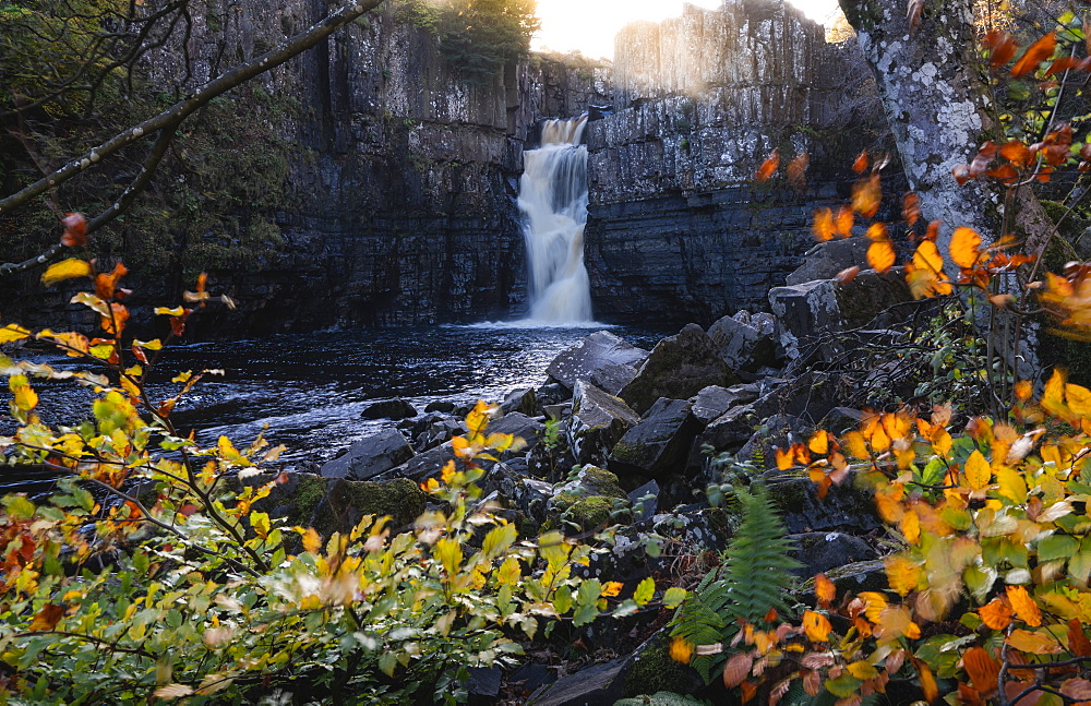 High Force and River Tees framed by autumn leaves, North Pennines AONB (Area of Outstanding Natural Beauty), Middleton-in-Teesdale, Teesdale, County Durham, England, United Kingdom, Europe