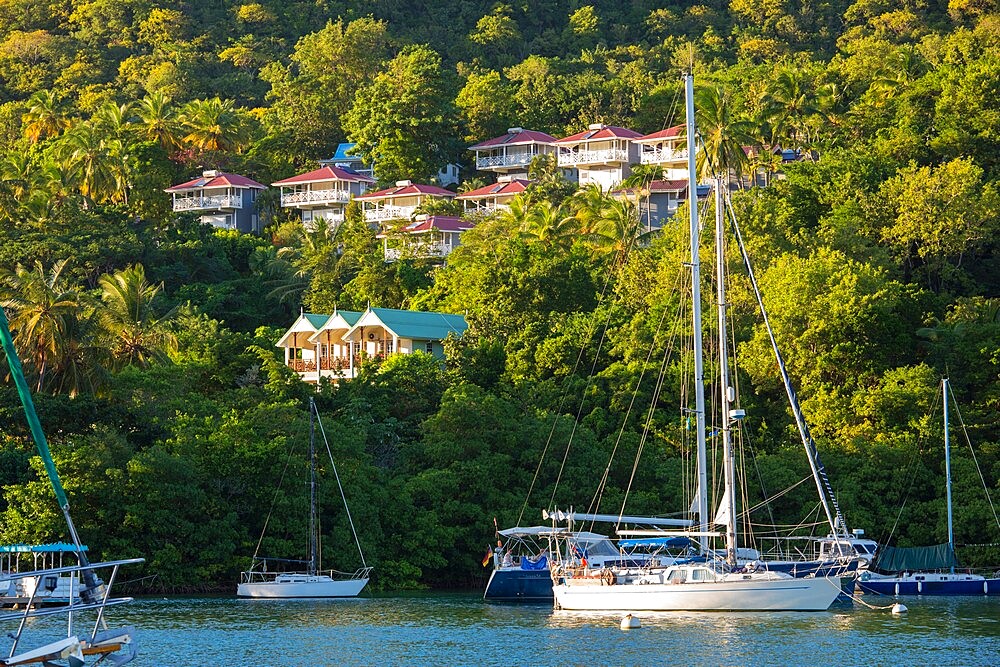 View across the tranquil harbour to wooded hillside, sunset, Marigot Bay, Castries, St. Lucia, Windward Islands, Lesser Antilles, West Indies, Caribbean, Central America