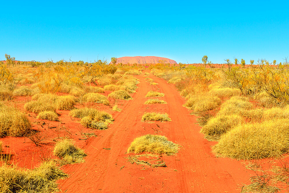 Red sand path in dry bush landscape in Australian Outback with Ayers Rock, sandstone monolith in Uluru-Kata Tjuta National Park in the distance, Uluru-Kata Tjuta National Park, UNESCO World Heritage Site, Northern Territory, Australia, Pacific