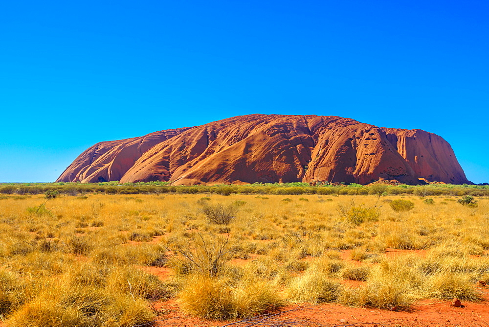 Red sand of Australian outback at Ayers Rock in dry season, huge sandstone monolith in Uluru-Kata Tjuta National Park, central Australia, Northern Territory. Icon of Red Centre. Blue sky, copy space.