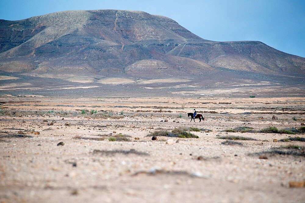 Horse Riding, El Cotillo Beach, Fuerteventura, Canary Islands, Spain, Atlantic, Europe