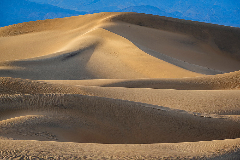 Sand dunes in the Sahara Desert, Merzouga, Morocco, North Africa, Africa