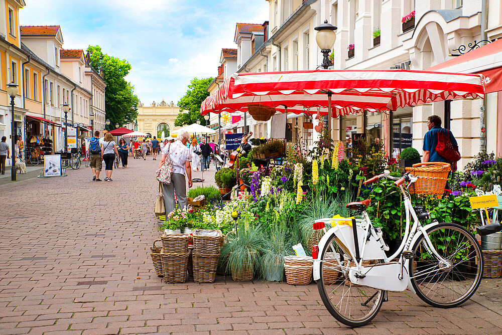 Flower stall on street by Brandenburg Gate, Potsdam, Germany, Europe