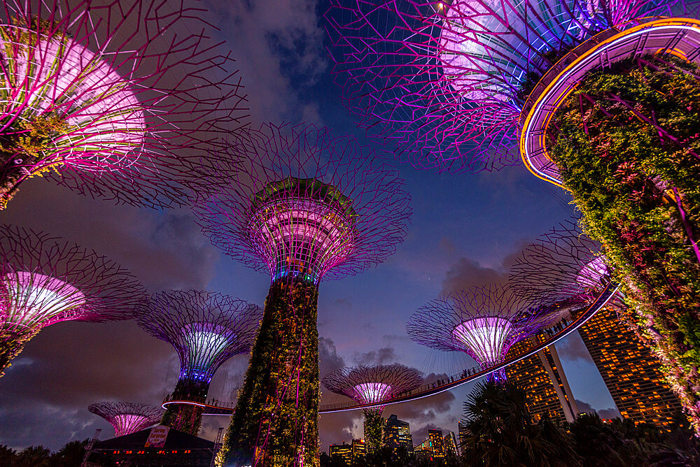 Cloud Forest, Gardens By The Bay, Singapore, Southeast Asia, Asia