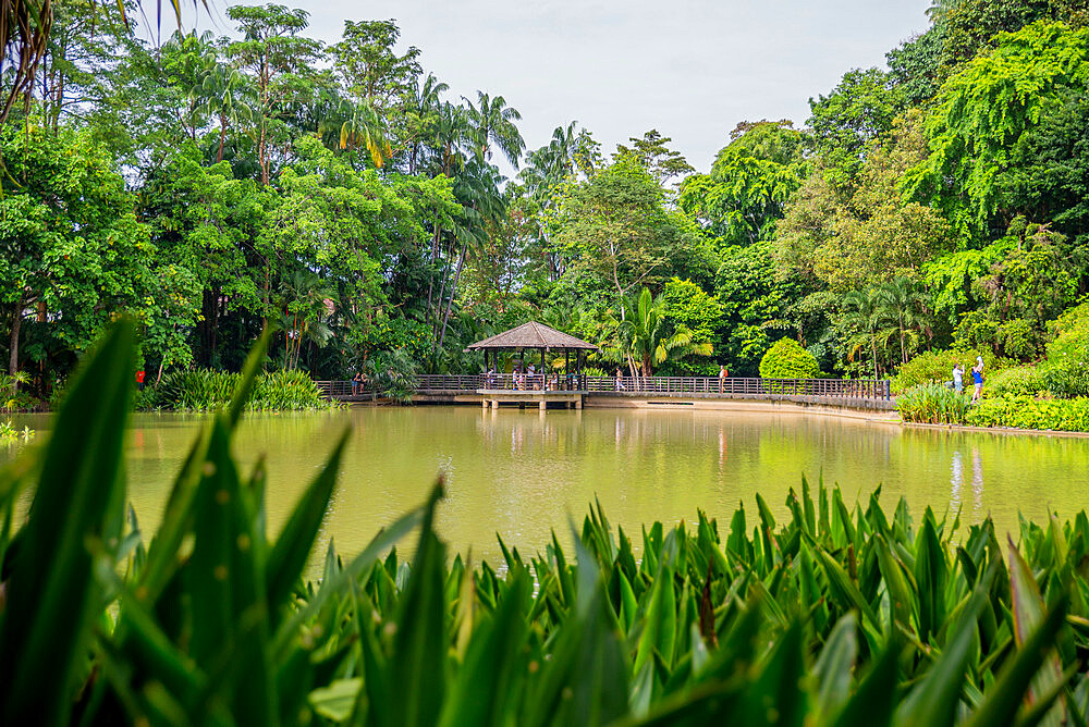 Singapore Botanic Gardens, Singapore, Southeast Asia, Asia