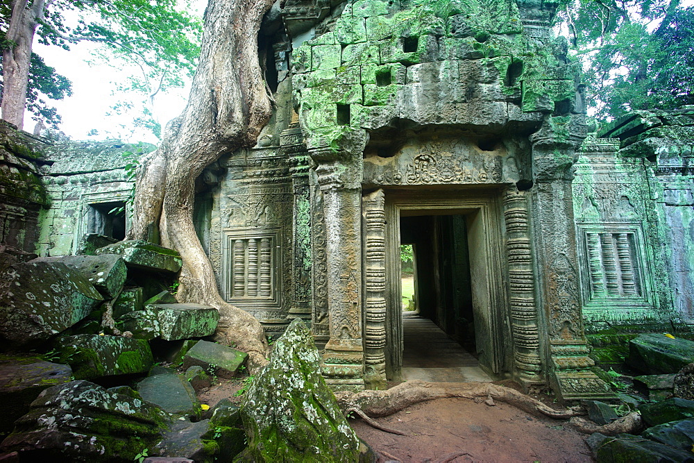 Ancient ruins of Ta Prohm Temple, Angkor, Siem Reap, Cambodia