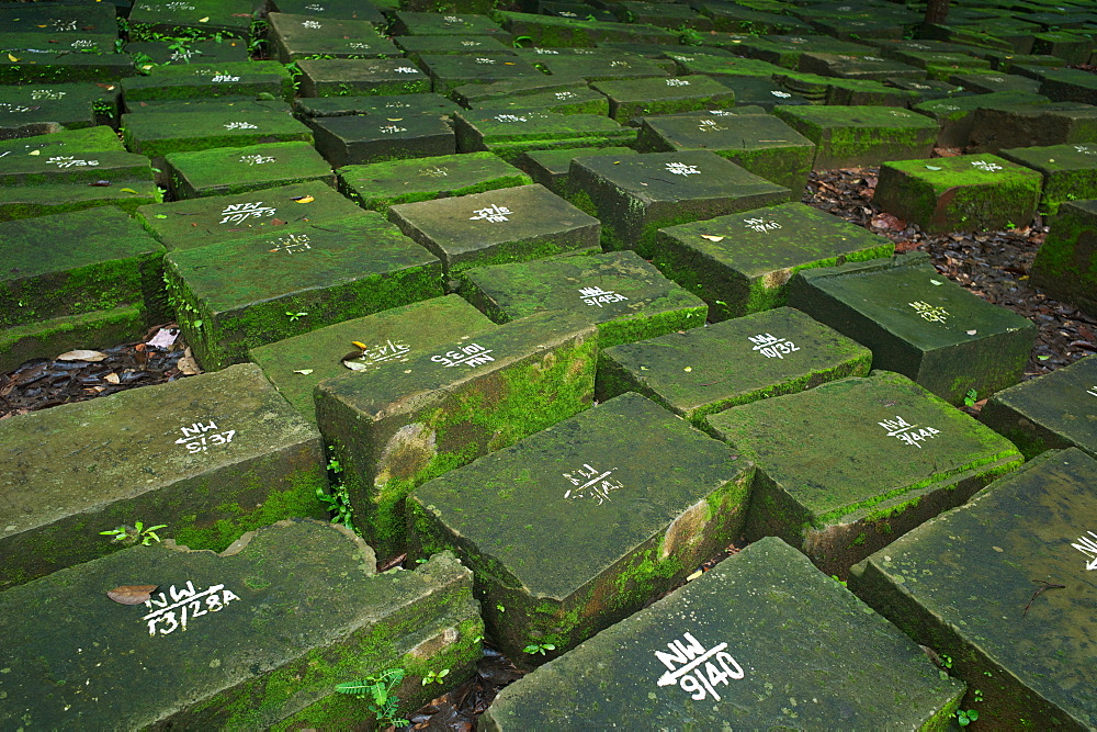 Marked stones in a restoration projects at the Ancient ruins of Ta Prohm Temple, Angkor, Siem Reap, Cambodia