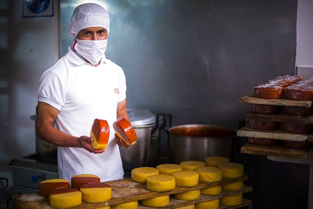 Portrait of a worker waxing cheese in the cheese factory at Hacienda Zuleta, Imbabura, Ecuador, South America