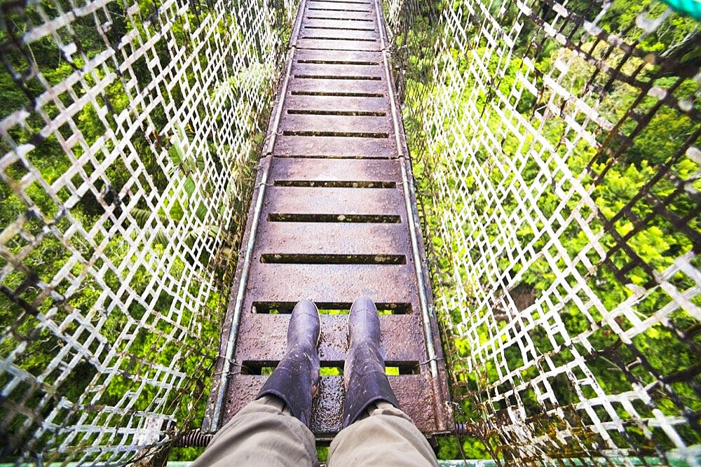 Amazon Rainforest Canopy Walk at Sacha Lodge, Coca, Ecuador, South America