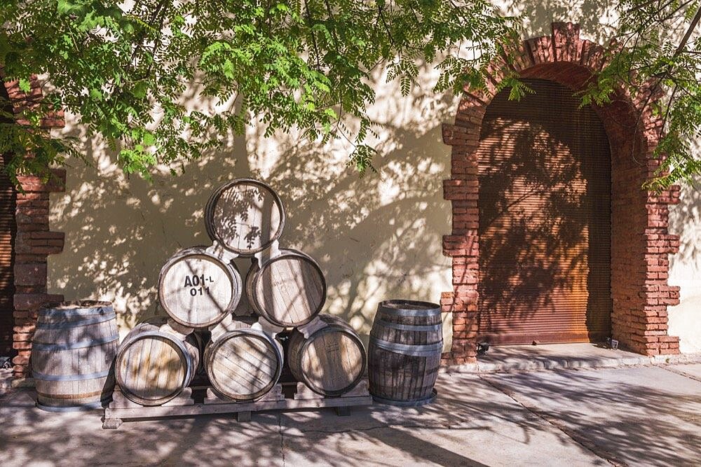 Oak wine barrels at a vineyard Bodega, winery, in the Maipu wine region of Mendoza, Mendoza Province, Argentina, South America